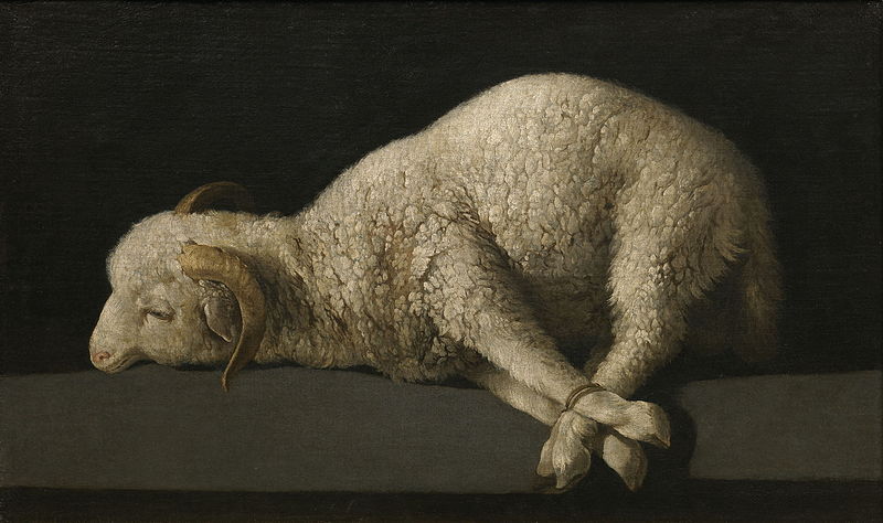  F. de Zurbaran, Lamm Gottes (1635-40),  Prado/Madrid, Wikimedia Commons gemeinfrei (GNU Free License)