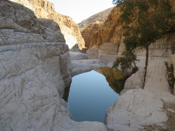 Nahal David in Ein Gedi, fotografiert von  מני גל – Lizenz: CC BY 2.5