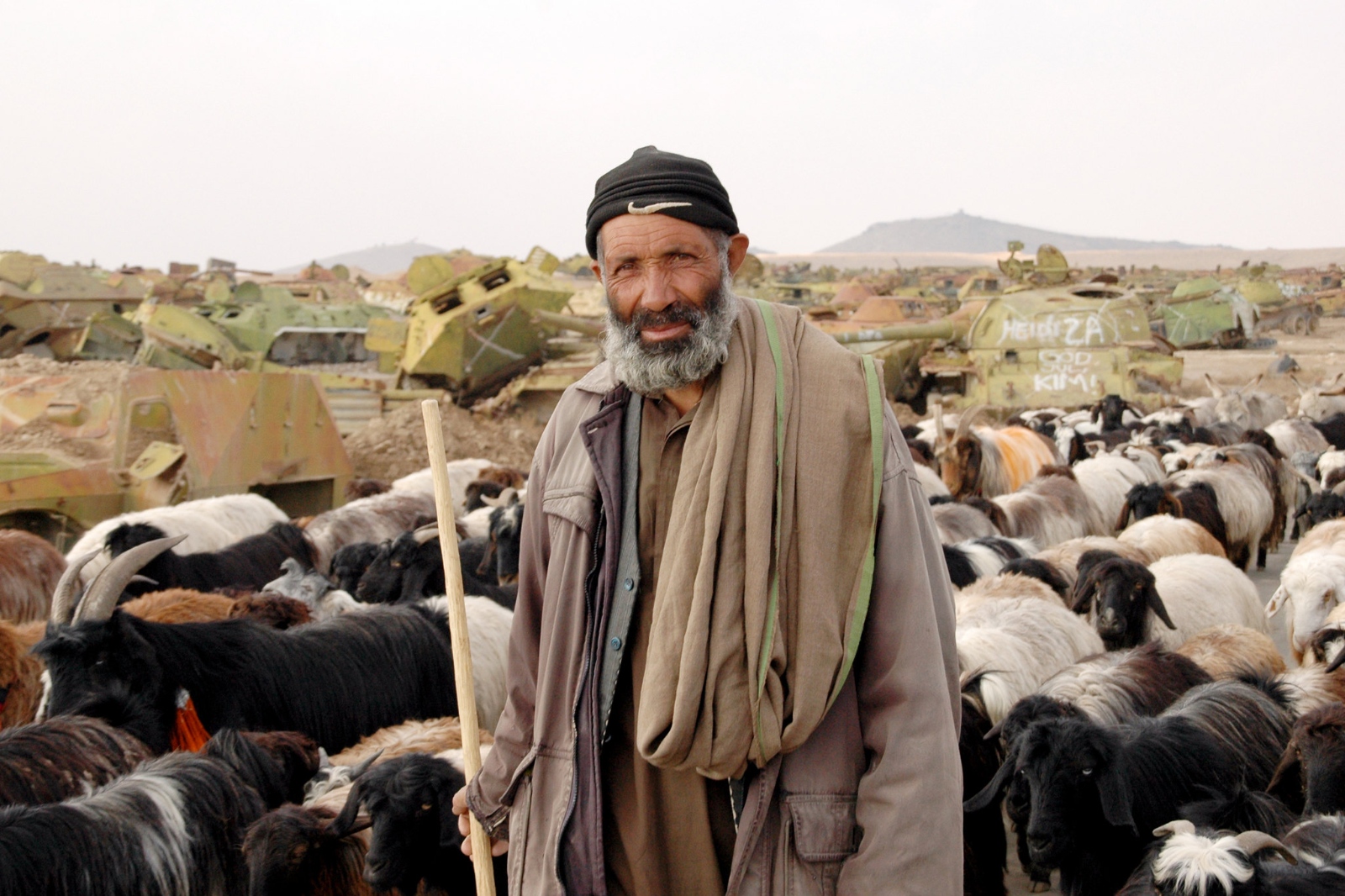 „Shepard“, fotografiert 2008 von John Zada, Aghanistan Matters – Lizenz: CC BY 2.0